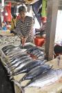 _DSC7572 Рыбный рынок. Бали. Индонезия.jpg