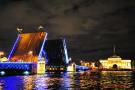 DSC_4251 Мосты Петербурга ночью.jpg